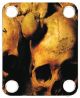 Ancient Skulls