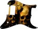 Ancient Skulls
