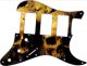 Ancient Skulls