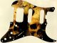 Ancient Skulls - HSS Shawbucker Elite Strat