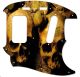 Ancient Skulls