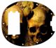 Ancient Skulls