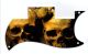 Ancient Skulls
