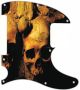 Ancient Skulls - Avril Lavigne Tele