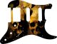Ancient Skulls