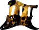 Ancient Skulls - Vintera '70s Strat