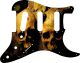 Ancient Skulls - Vintera '60s Strat