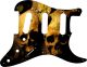 Ancient Skulls