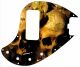 Ancient Skulls