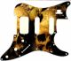 Ancient Skulls