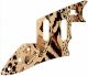 Animal Pattern