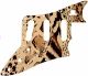 Animal Pattern