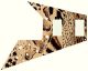 Animal Pattern