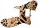 Animal Pattern - Vintera '70s Tele Custom