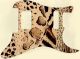 Animal Pattern
