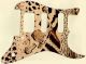 Animal Pattern