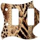 Animal Pattern
