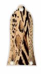 Animal Pattern