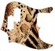 Animal Pattern