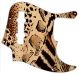 Animal Pattern
