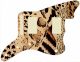 Animal Pattern