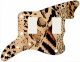 Animal Pattern