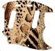Animal Pattern