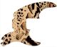 Animal Pattern