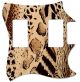 Animal Pattern