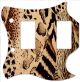 Animal Pattern
