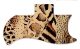 Animal Pattern