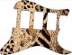 Animal Pattern