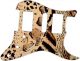 Animal Pattern