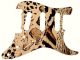 Animal Pattern