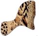 Animal Pattern