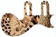 Animal Pattern
