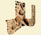 Animal Pattern