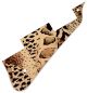 Animal Pattern