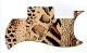 Animal Pattern
