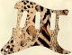 Animal Pattern - Vintera '70s Strat