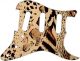 Animal Pattern