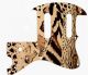 Animal Pattern