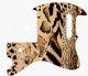 Animal Pattern