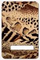 Animal Pattern