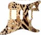 Animal Pattern