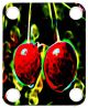 Artistic Cherries