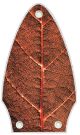 Autumn Leaf