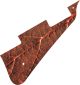 Autumn Leaf