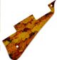 Autumn Maples
