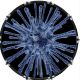 Bacteria Cell Virus